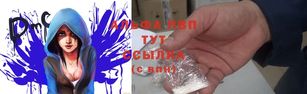 гашик Беломорск