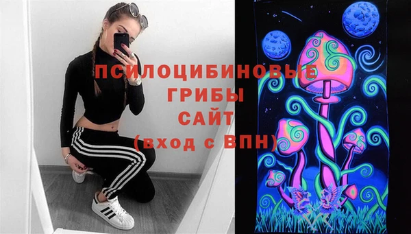 ешки Белокуриха
