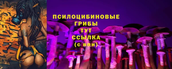 гашик Беломорск